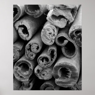 Poster des bâtons de cannelle