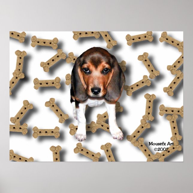 Poster des biscuits beagles et chiens (Devant)