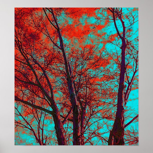 Poster des branches spirituelles (Devant)