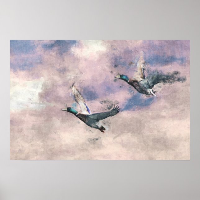Poster des canards volants (Devant)