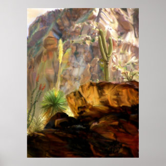 Poster Des Canyons Ombres.