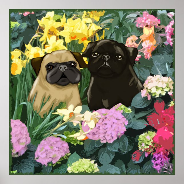 Poster des Carlins de printemps (Devant)
