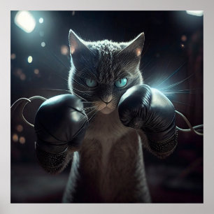 Poster des chats