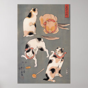 Poster des chats au jeu