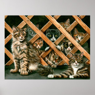 Poster des chats treillis, tabby's tuxedos kmcorig