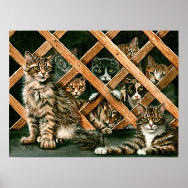 Poster des chats treillis, tabby's tuxedos kmcorig (Devant)