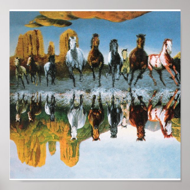 Poster des chevaux sauvages (Devant)