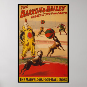 Poster des chiens de balle à pied de Barnum & Bail
