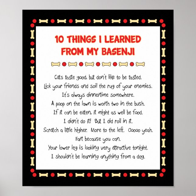 Poster Des Choses Drôle Que J'Ai Apprises De Mon Basenji (Devant)