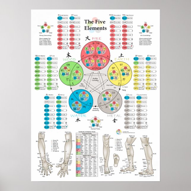 Poster des cinq éléments de l'acupuncture (Devant)