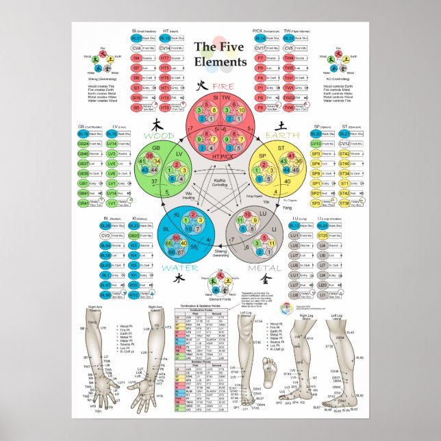 Poster des cinq éléments de l'acupuncture (Devant)