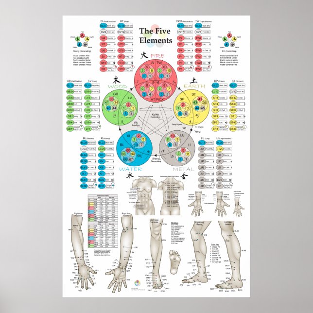 Poster des cinq éléments de l'acupuncture (Devant)