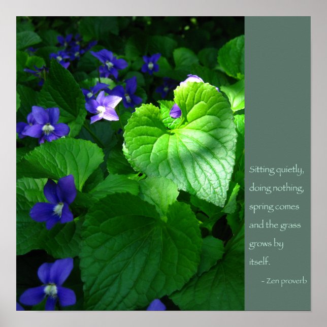 Poster des citations du proverbe zen (Devant)