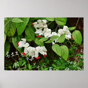 Poster des coeurs saignants