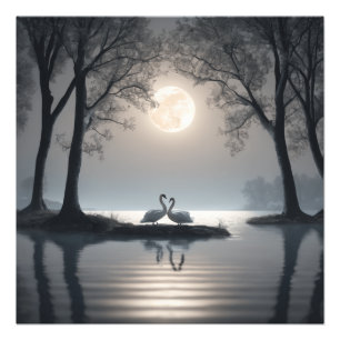Poster des cygnes en amour