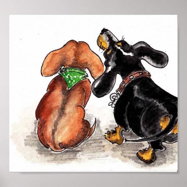 Poster des dachshunds qui regardent... (Devant)