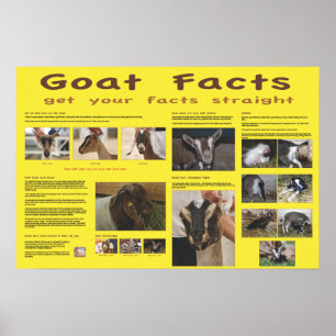 Poster des faits de chèvre 2