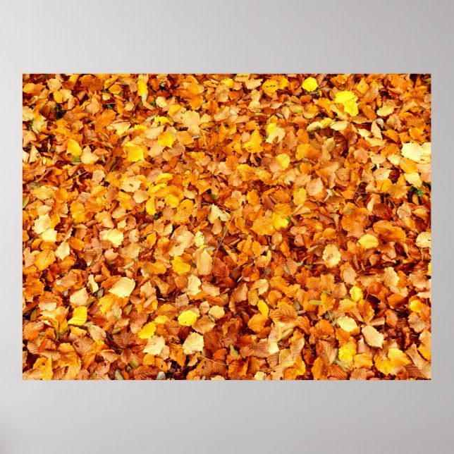 Poster des feuilles d'automne (Devant)