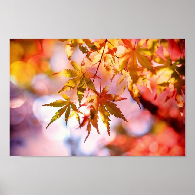 Poster des feuilles d'automne (Devant)