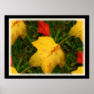 Poster des feuilles d'automne des chutes de pluie