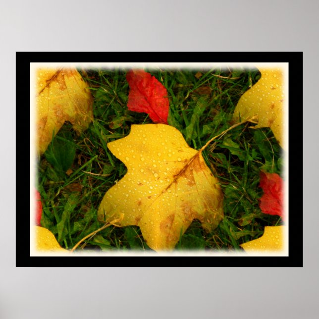 Poster des feuilles d'automne des chutes de pluie (Devant)