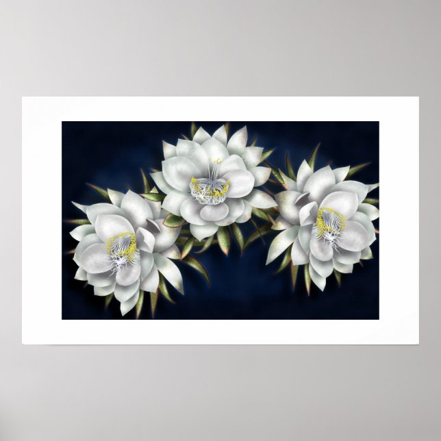 Poster des fleurs blanches (Devant)