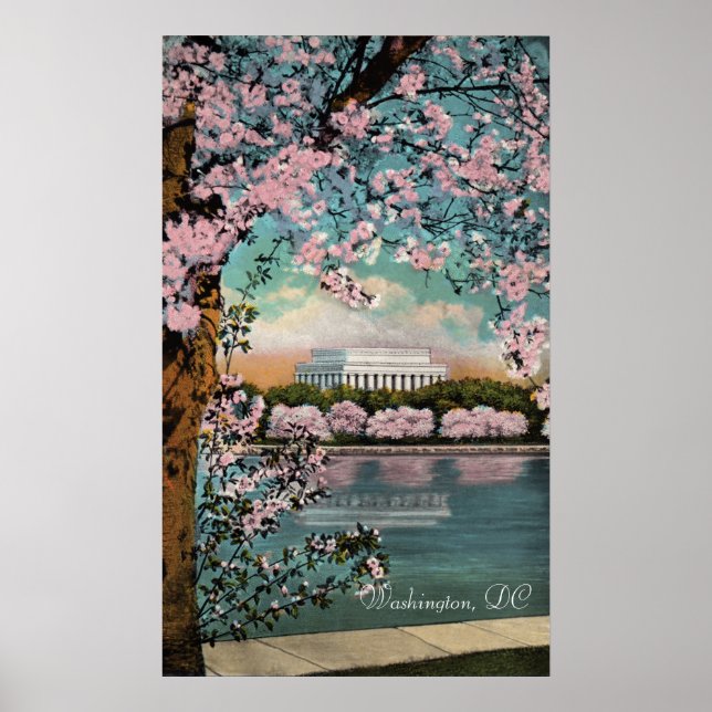 Poster des fleurs de cerisiers à Washington DC (Devant)