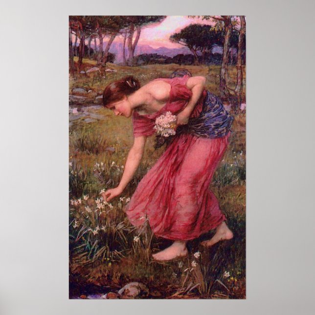 Poster des fleurs de cueillette Narcissus (Devant)