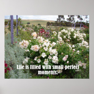 Poster Des Fleurs De Jardin Rempli De Moments Parf