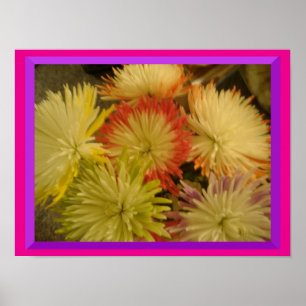 Poster des fleurs de plusieurs couleurs