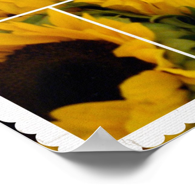 Poster des fleurs de soleil de Good Times (Coin)