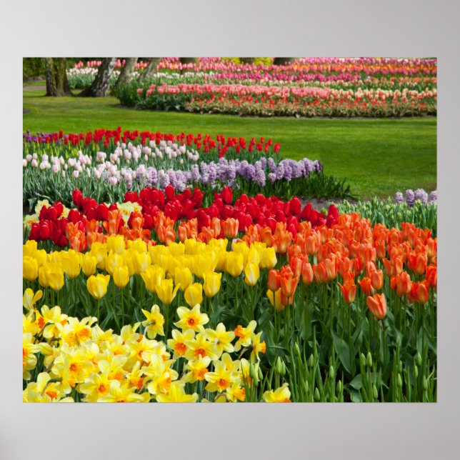 Poster des fleurs du jardin (Devant)