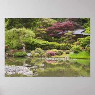 Poster Des fleurs fleurissent au Jardin Japonais,