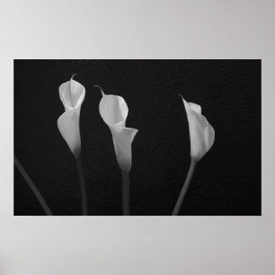 Poster des fleurs noires et blanches