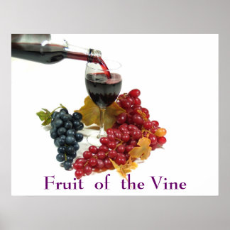Poster Des Fruits De La Vigne