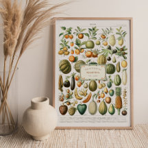 Poster des fruits de l'Adolphe Millot