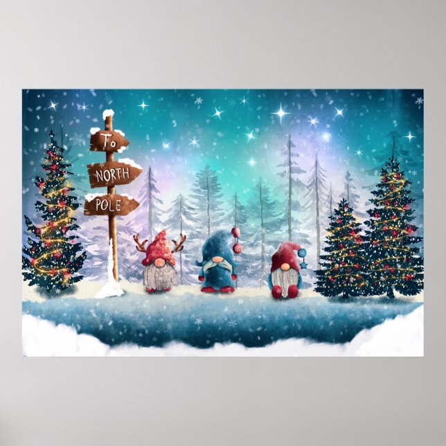 Poster des Gnomes du Pôle Nord (Devant)