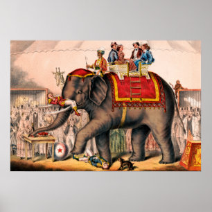 Poster Des Hommes Accompagnent Un Acte De Cirque Avec Un