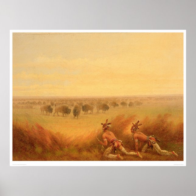 Poster Des Indiens ramassent sur un troupeau de bisons (1 (Devant)