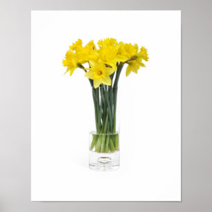 Poster des jonquilles