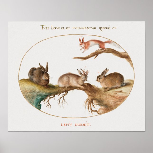 Poster des lapins mignons (Devant)