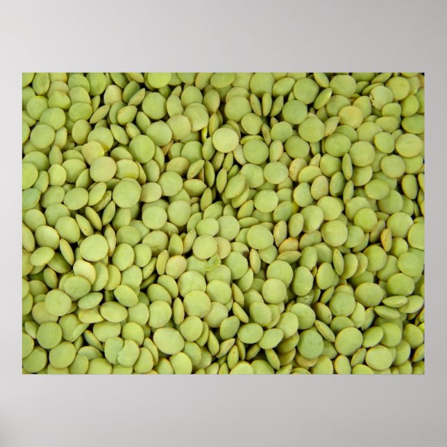 Poster des lentilles (Devant)