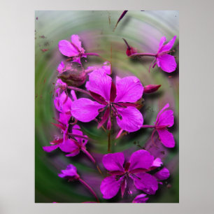 Poster Des mauvaises herbes dans un ouragan