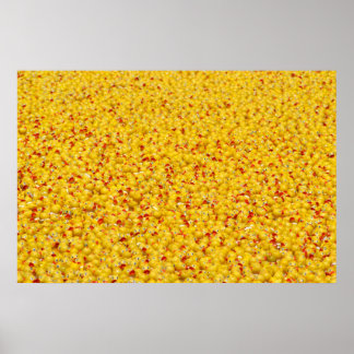 Poster Des milliers de canards