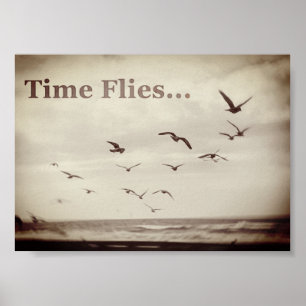 Poster des mouches du temps