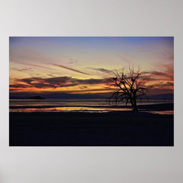 Poster Des nids vides dans un arbre mort (Devant)