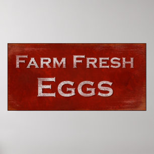 Poster des oeufs frais de ferme