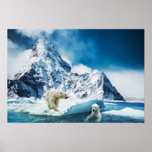 Poster des ours polaires