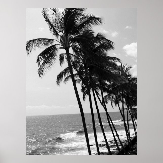 Poster des palmiers d'Hawaii (Devant)