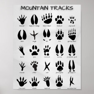 Poster des pistes de montagne